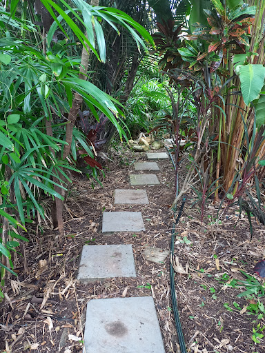 Buckland And Sons Garden Care Maintenance - Thumbnail