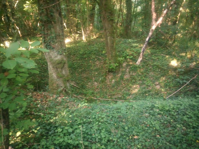 Monument aux Morts de Cumière (Village détruit)