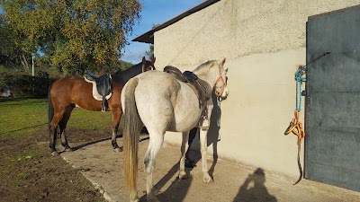 Photos of yeguada la isla