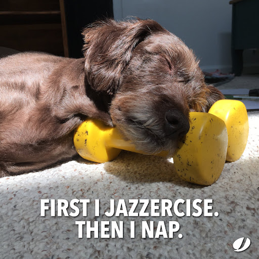 Jazzercise Cranbury Windsors - Thumbnail