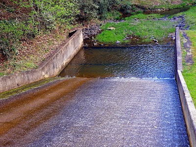 Photos of Seneca State Forest