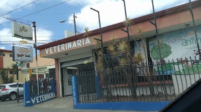 Photos of Veterinaria Pura Vida Animal