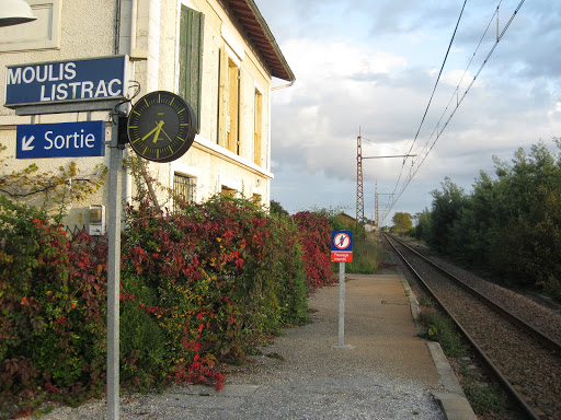 Moulis - Listrac - Thumbnail