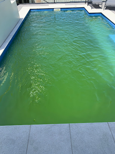 Poolwerx Rutherford