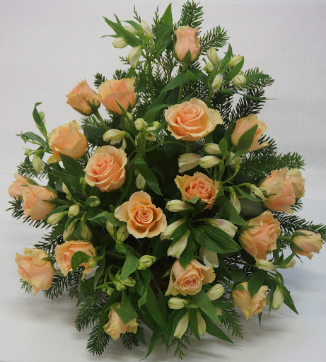 Blumen-Aschoff GbR - Visual