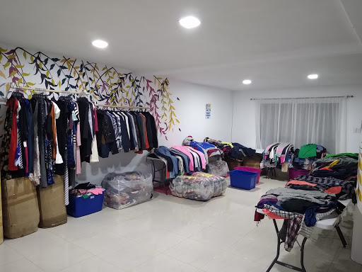 Fundación GABS - Thumbnail