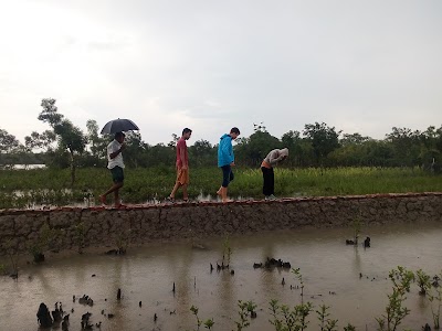 Photos of Shawon Fish Ltd - Semi Intensive Shrimp Project