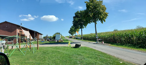 Maislabyrinth Mingerode - Visual