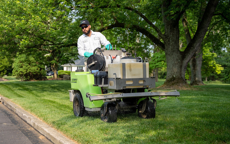 Green Lawn Fertilizing
