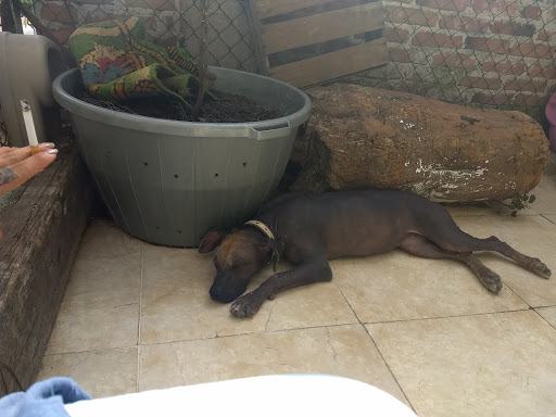 Clínica Veterinaria Kan