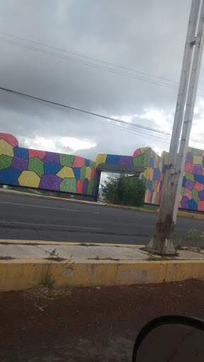 y juegos Garden