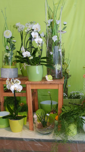 Blumen Heider Inh. Zellner Susanne - Thumbnail