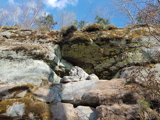 Steinerner Löwe - Visual