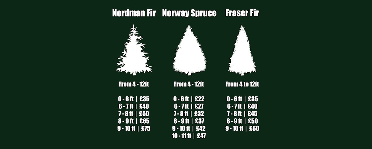 Sheepway Christmas Trees