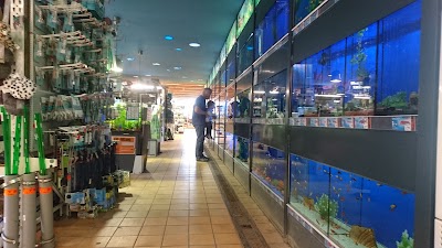 Photos of HORNBACH Marquardt / Potsdam