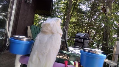 Photos of North Country Lodge & Cabins