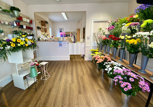 RoseTime Flowers - Visual