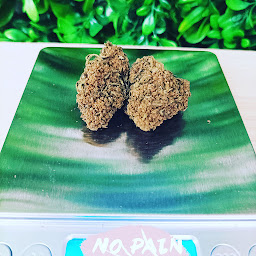 Photo n°24 de Maison Maryjane Calais à Calais (Programme de bien-être)