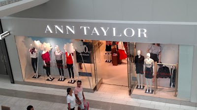 Ann Taylor