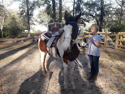 Shady Key Farm And Recording Studil