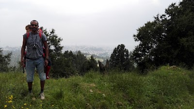 Photos of Gulele Botanical Garden