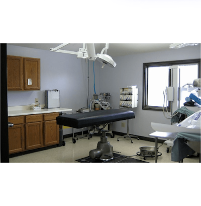 Photos of East State Veterinary Clinic