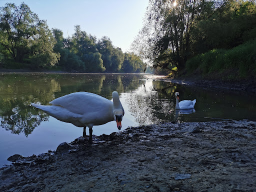 Parkplatz Kühkopf - Thumbnail