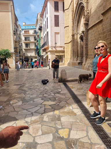 Welcome To Mallorca - Real Estate - Thumbnail