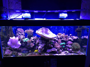 Photo n°34 de LA LOCOMOTIVE à Issoudun (Hôtel)