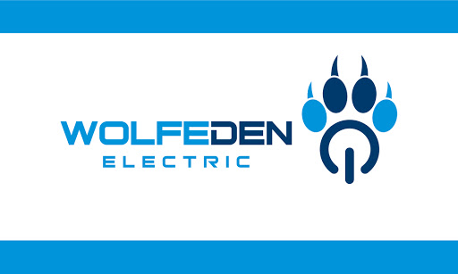 Wolfeden Electric - Visual
