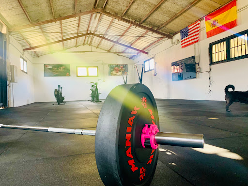 Vi Functional Training - Thumbnail