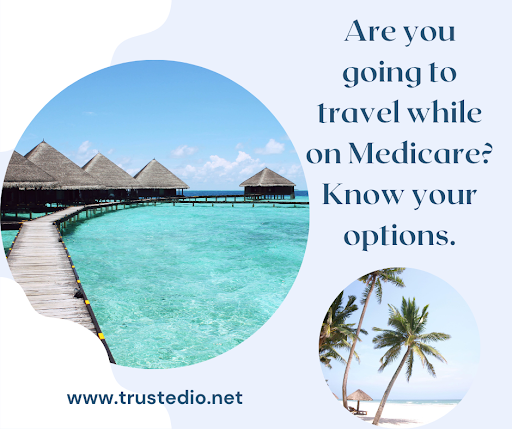 Trusted Insurance Options