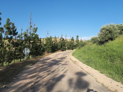 Photos of Ain Salama