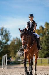 Photo n°3 de Haras des Sources - Centre équestre, poney club & Ecurie de propriétaires - 77 à Conches-sur-Gondoire (Service de tours de poneys)