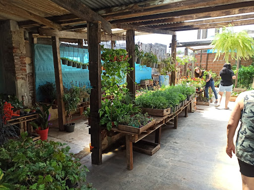 VIVERO La Emilia - Foto 1