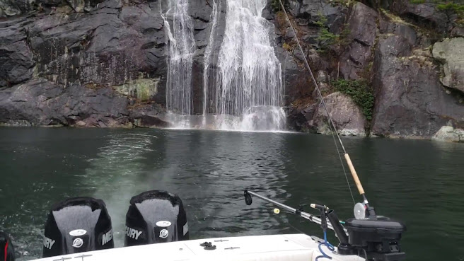 Bon Chovy Fishing Charters by null