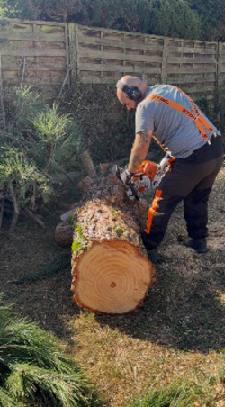 Zimmer Espaces Verts -  Paysagiste Vendée