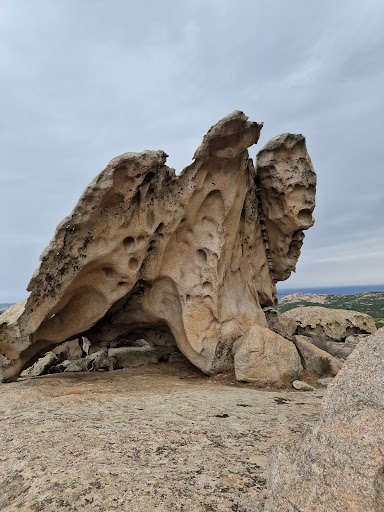 Sfinge della Gallura - Zio Maltinu
