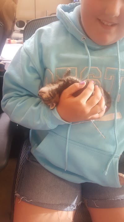 Photos of Driving Park Animal Hospital