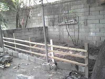 Photos of Animalcare Veterinary Hospital