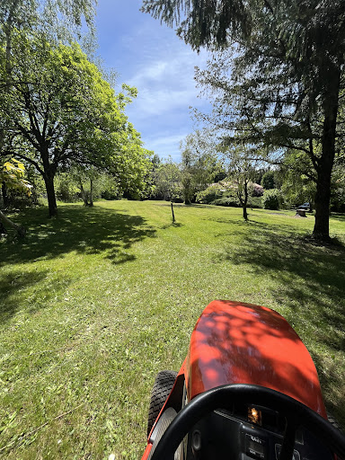 Photo de Lotton paysage élagage