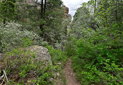 Middle Fork Trailhead - Visual