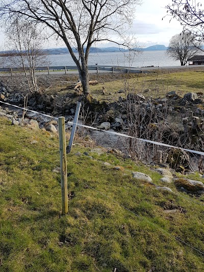 Photos of Kvister&oslash; fjordcamping