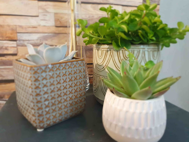 Flore Maître Artisan Fleuriste