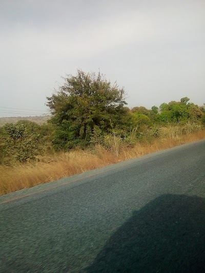Photos of Keniebaoule Reserve
