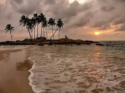 Photos of Villa Crocodile Beach
