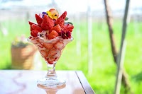 ぶどうの森 本店