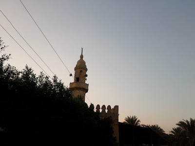 Photos of عمارة