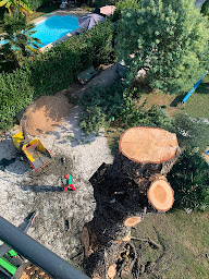 Photo n°8 de Glen LANGOËT élagage à Plouay (Service d'élagage)