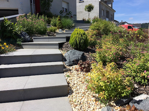 Photo de Crealis paysage & Piscine